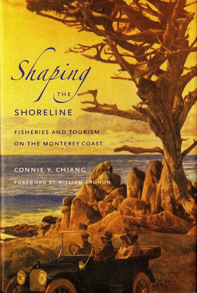 Connie Y. Chiang - Shaping the Shoreline, Häftad. Tillgänglighet: Lägg i varukorg