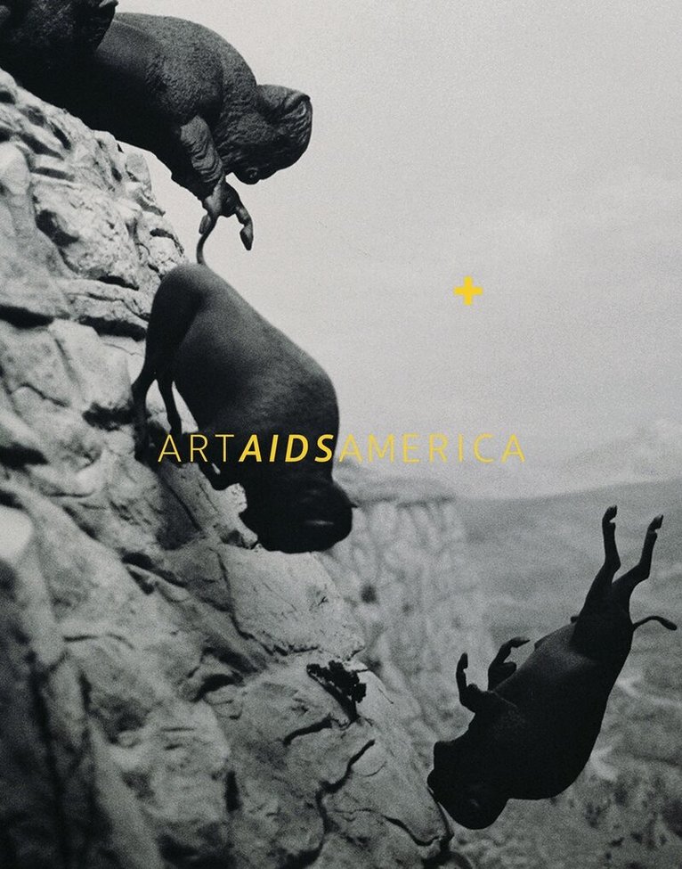 Jonathan David Katz, Rock Hushka - Art AIDS America, Inbunden. Tillgänglighet: Lägg i varukorg