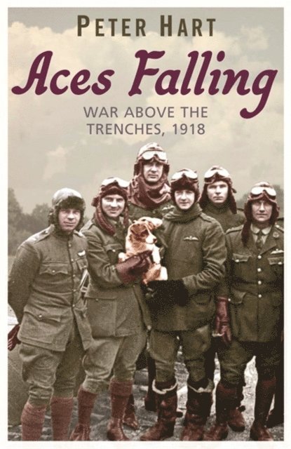 Peter Hart - Aces Falling, E-bok