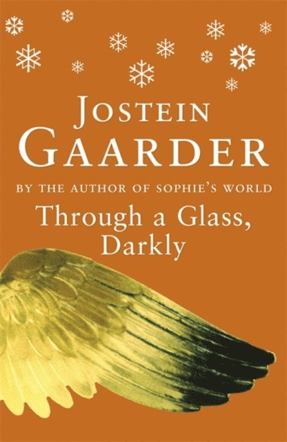 Jostein Gaarder - Through A Glass, Darkly, E-bok
