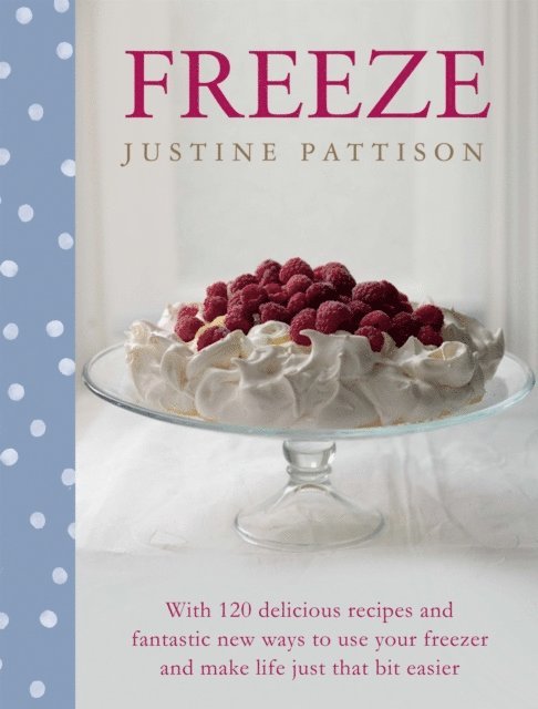 Justine Pattison - Freeze, E-bok