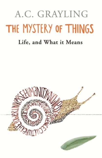 A.C. Grayling - Mystery of Things, E-bok