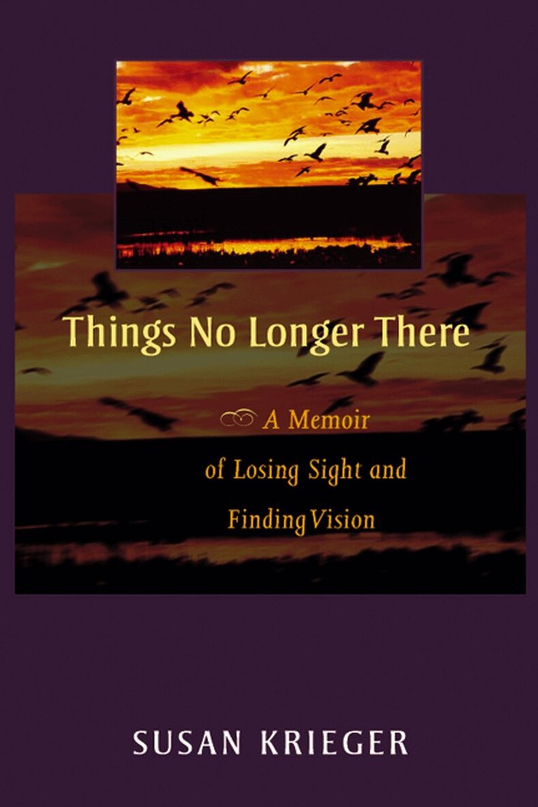 Susan Krieger - Things No Longer There, Häftad. Tillgänglighet: Lägg i varukorg