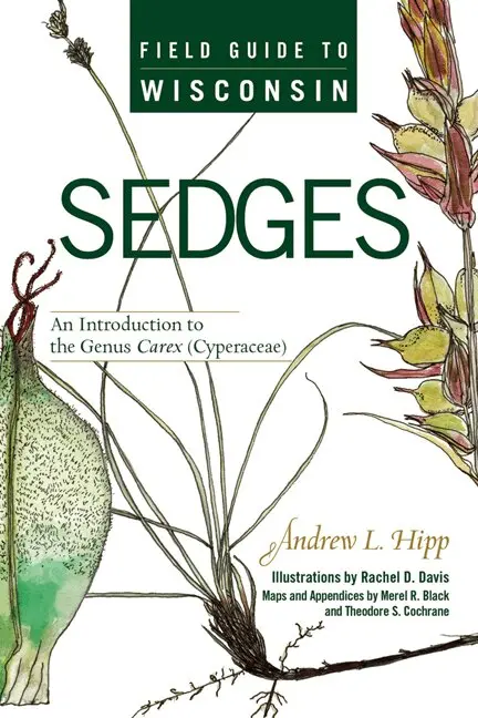 Andrew Hipp - Field Guide to Wisconsin Sedges, Häftad. Tillgänglighet: Lägg i varukorg