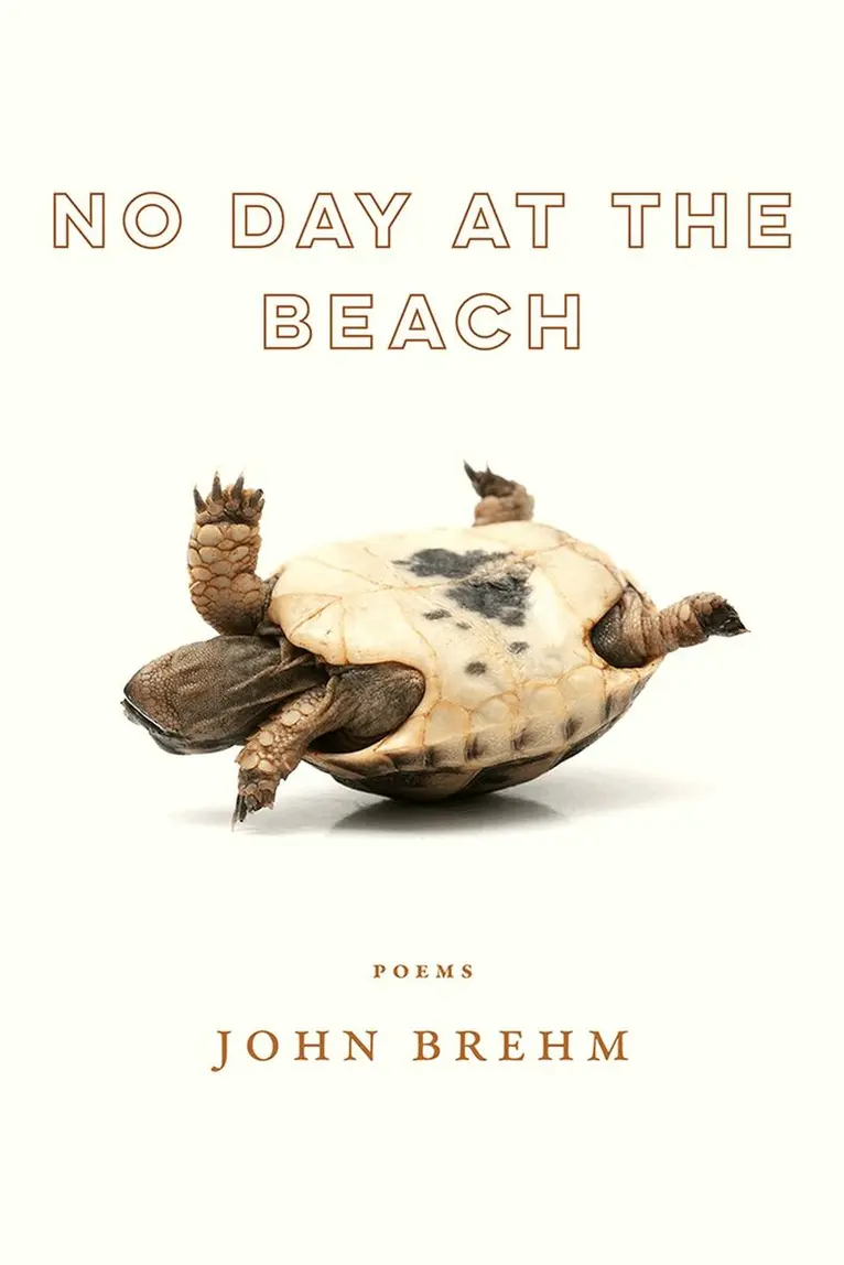 John Brehm - No Day at the Beach, Häftad. Tillgänglighet: Tillfälligt slut