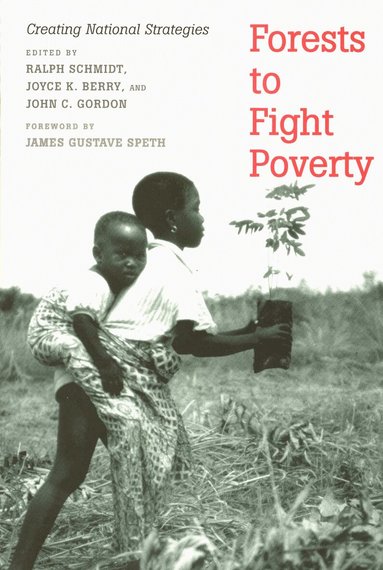 Ralph Schmidt, Joyce K. Berry, John C. Gordon - Forests to Fight Poverty, Häftad