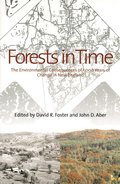 Forests in Time