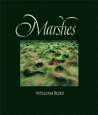 William Burt - Marshes: The Disappearing Edens, Inbunden