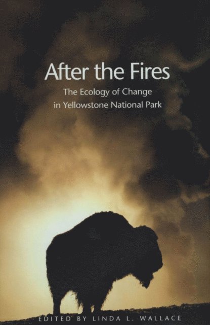 Wallace Linda L. Wallace - After the Fires, E-bok