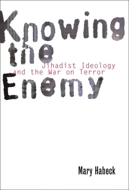 Mary Habeck - Knowing the Enemy, E-bok