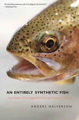 Anders Halverson - Entirely Synthetic Fish, Häftad. Tillgänglighet: Tillfälligt slut