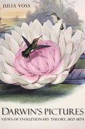 Darwin's Pictures