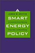 Smart Energy Policy