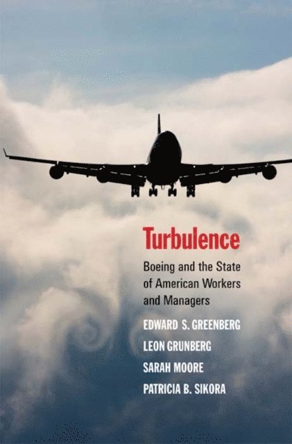 Edward S. Greenberg - Turbulence, E-bok