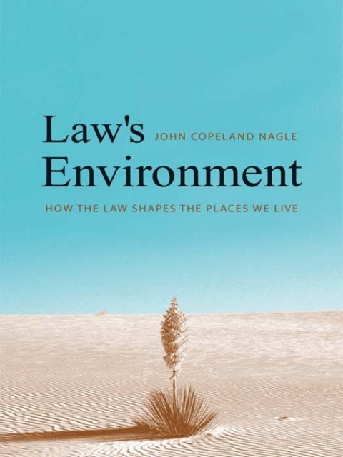 Law's Environment