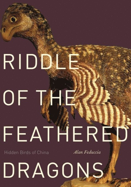Alan Feduccia - Riddle of the Feathered Dragons, E-bok