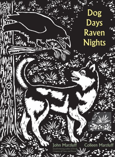 John M. Marzluff - Dog Days, Raven Nights, E-bok
