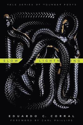 Eduardo C. Corral - Slow Lightning, Häftad. Tillgänglighet: Lägg i varukorg