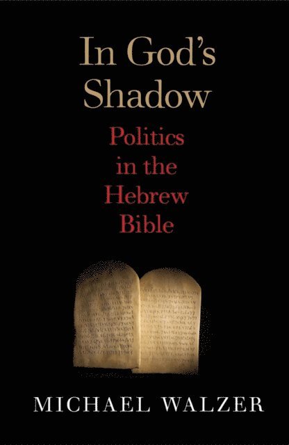 Walzer Michael Walzer - In God's Shadow, E-bok. Tillgänglighet: Lägg i varukorg