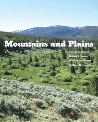 Dennis H. Knight, George P. Jones - Mountains and Plains: The Ecology of Wyoming Landscapes, Häftad