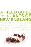 Field Guide to the Ants of New England