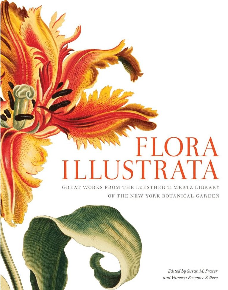 Susan M Fraser, Vanessa Bezemer Sellers - Flora Illustrata, Inbunden