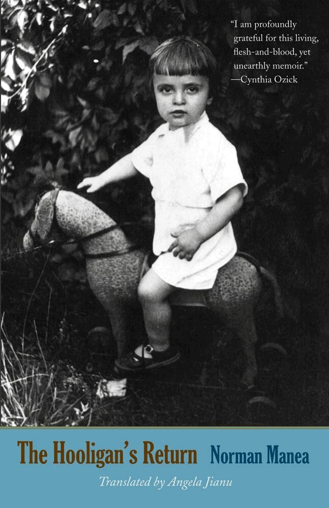 Norman Manea - Hooligan's Return, Häftad
