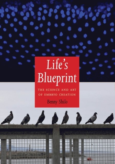 Life's Blueprint