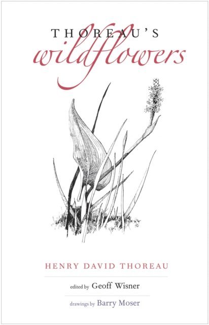 Henry D. Thoreau - Thoreau's Wildflowers, E-bok
