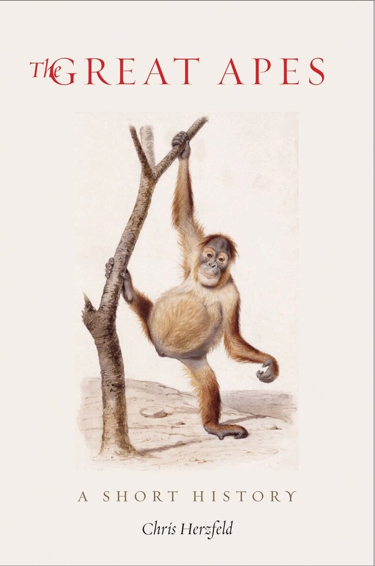 Chris Herzfeld - Great Apes, Inbunden