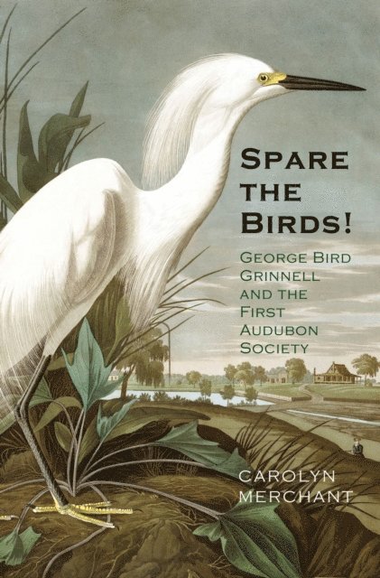 Spare the Birds!