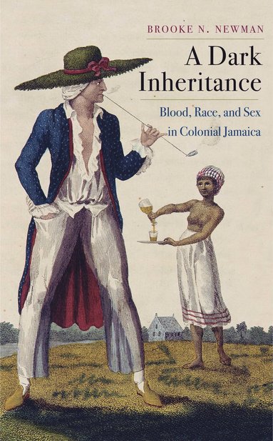 Dark Inheritance av Brooke N Newman