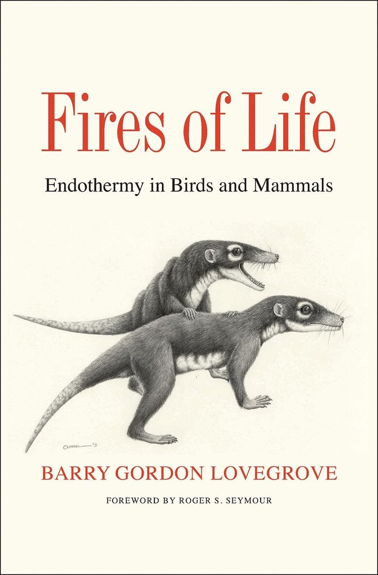 Barry Gordon Lovegrove - Fires of Life, Inbunden. Tillgänglighet: Tillfälligt slut