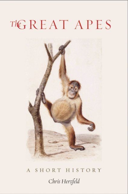 Chris Herzfeld - Great Apes, E-bok