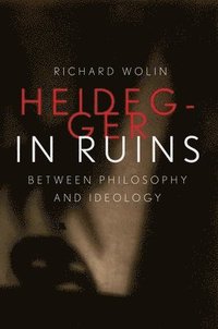 Heidegger in Ruins