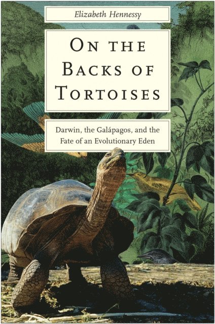 Elizabeth Hennessy - On the Backs of Tortoises, E-bok