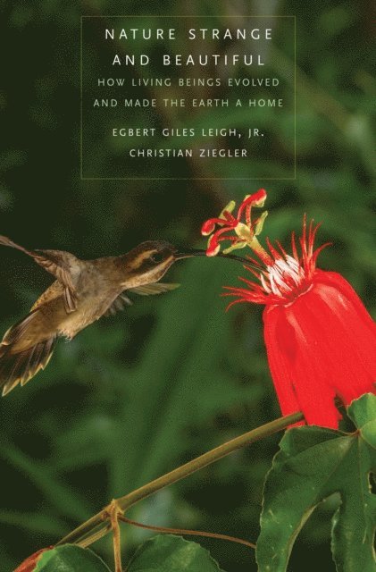 Christian Ziegler, Egbert Giles Leigh - Nature Strange and Beautiful, E-bok