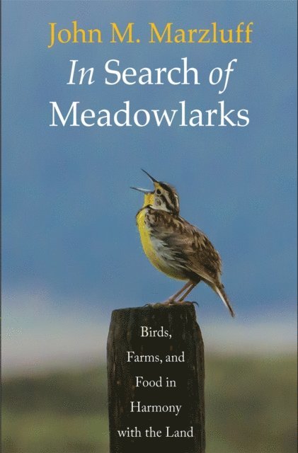 John M. Marzluff - In Search of Meadowlarks, E-bok