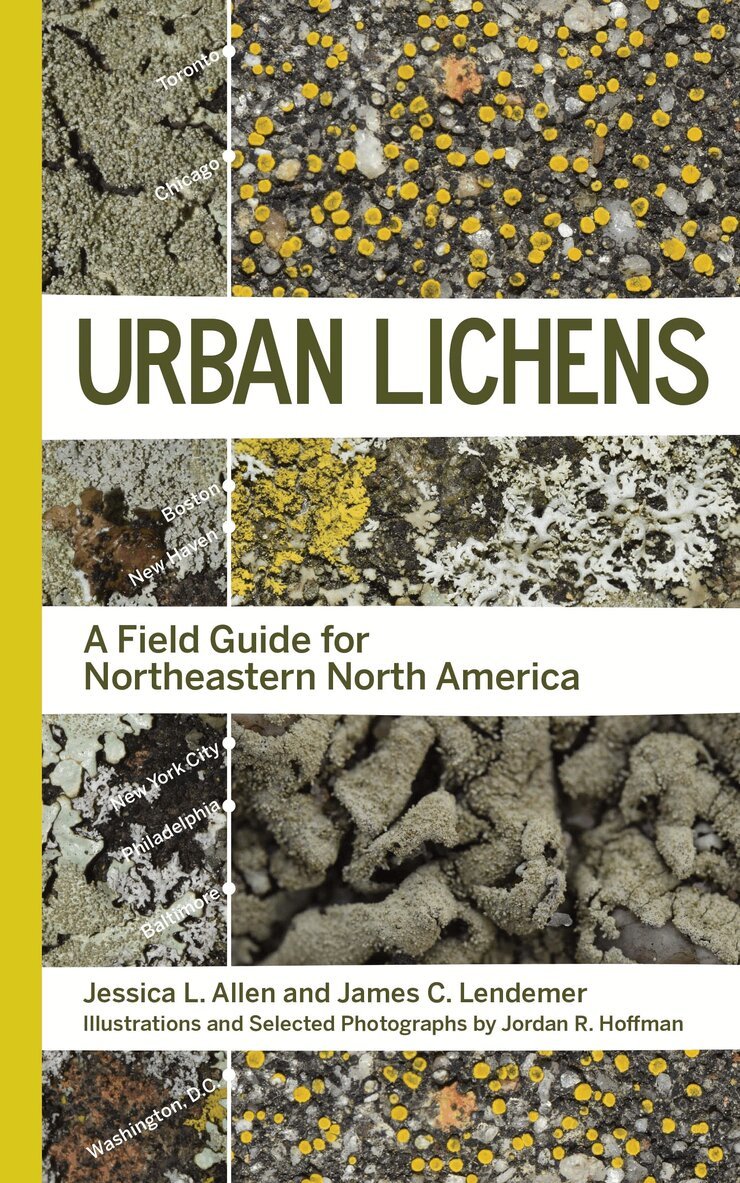 Jessica L Allen, James C Lendemer - Urban Lichens, Häftad