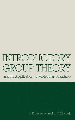 John R. Ferraro, Joseph S. Ziomek - Intro Group, Inbunden. Tillgänglighet: Lägg i varukorg