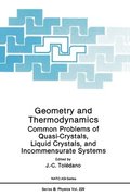 Geometry and Thermodynamics