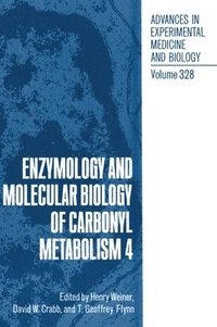 Enzymology and Molecular Biology of Carbonyl Metabolism: v. 4 Proceedings of an International Workshop Held in Dublin, Ireland, June 28-July 1, 1992