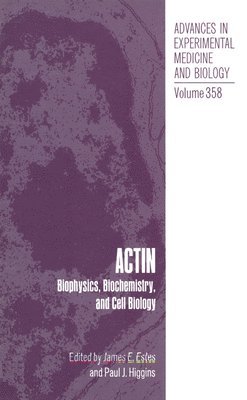 Actin