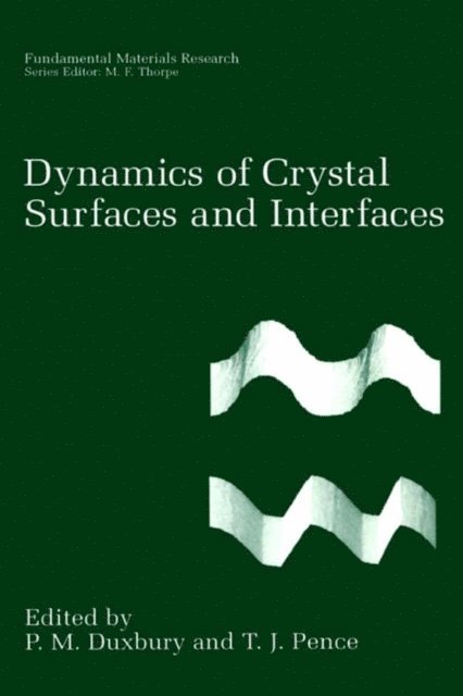 T.J. Pence, P.M. Duxbury - Dynamics of Crystal Surfaces and Interfaces, E-bok