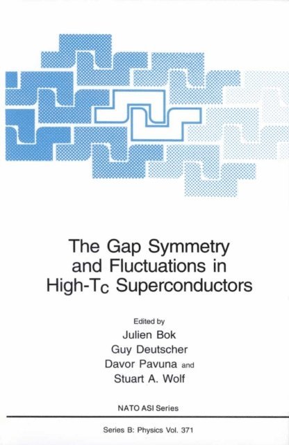 Stuart A. Wolf, Davor Pavuna, Guy Deutscher, Julien Bok - Gap Symmetry and Fluctuations in High-Tc Superconductors, E-bok