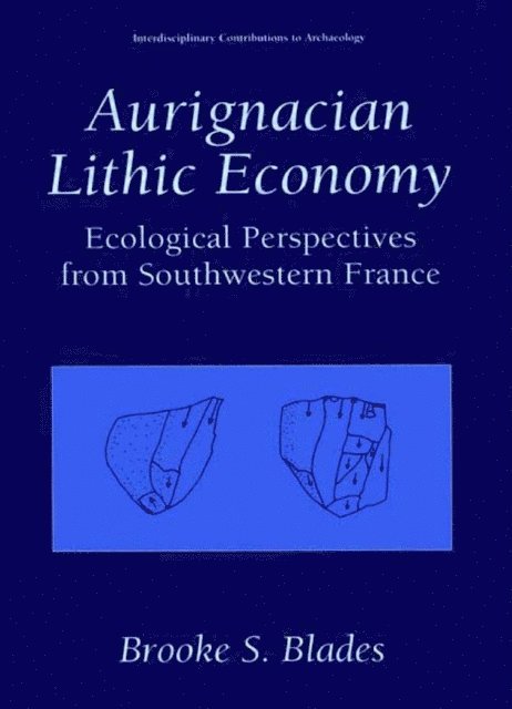 Brooke S. Blades - Aurignacian Lithic Economy, E-bok