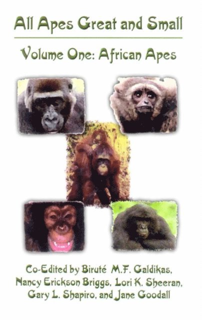 Jane Goodall, Gary L. Shapiro, Lori K. Sheeran, Nancy Erickson Briggs, Birute M.F. Galdikas - All Apes Great and Small, E-bok