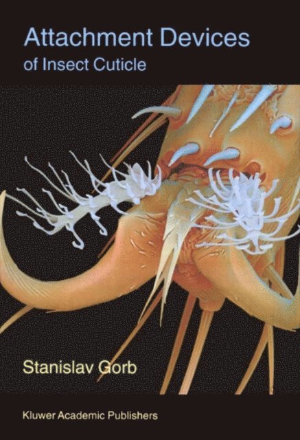 Attachment Devices of Insect Cuticle
