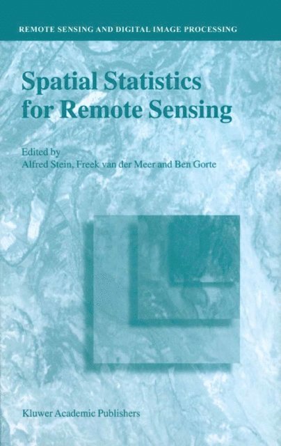 Ben Gorte, Freek D. van der Meer, A. Stein - Spatial Statistics for Remote Sensing, E-bok