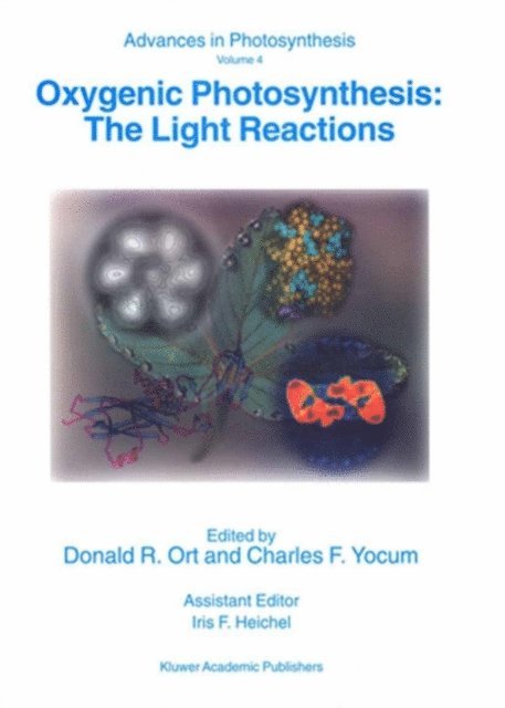Charles F. Yocum, Donald R. Ort - Oxygenic Photosynthesis: The Light Reactions, E-bok